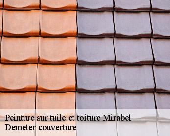 Peinture sur tuile et toiture  82440