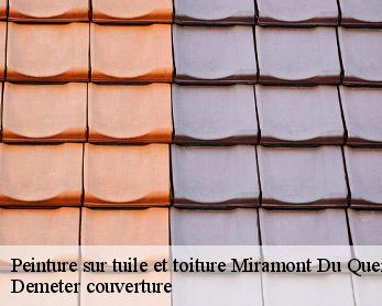 Peinture sur tuile et toiture 82190