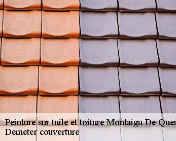 Peinture sur tuile et toiture  82150