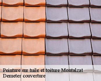 Peinture sur tuile et toiture 82270