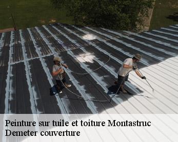 Peinture sur tuile et toiture  82130