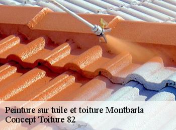 Peinture sur tuile et toiture montbarla-82110 Concept Toiture 82