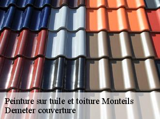 Peinture sur tuile et toiture  monteils-82300 Demeter couverture