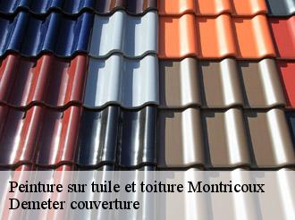 Peinture sur tuile et toiture  montricoux-82800 Demeter couverture
