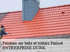 Peinture sur tuile et toiture  parisot-82160 ENTRERPRISE DURK