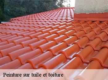 Peinture sur tuile et toiture