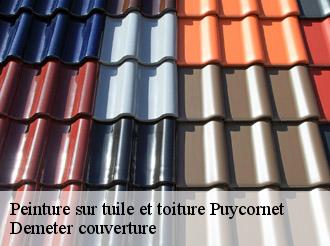 Peinture sur tuile et toiture puycornet-82220 Demeter couverture