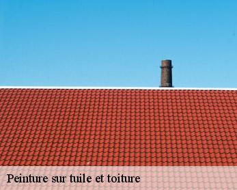 Peinture sur tuile et toiture