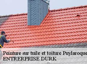 Peinture sur tuile et toiture  puylaroque-82240 ENTRERPRISE DURK