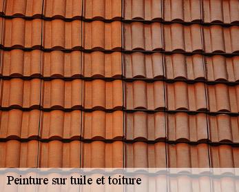 Peinture sur tuile et toiture