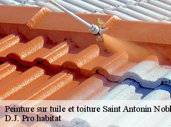 Peinture sur tuile et toiture  saint-antonin-noble-val-82140 D.J. Pro habitat
