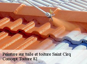 Peinture sur tuile et toiture saint-cirq-82300 Concept Toiture 82