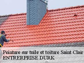 Peinture sur tuile et toiture  saint-clair-82400 ENTRERPRISE DURK