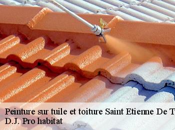 Peinture sur tuile et toiture  saint-etienne-de-tulmont-82410 D.J. Pro habitat