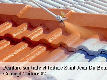 Peinture sur tuile et toiture saint-jean-du-bouzet-82120 CALVET OCCITANIE 82