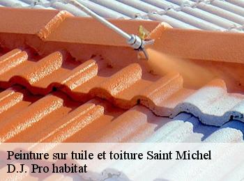 Peinture sur tuile et toiture  saint-michel-82340 D.J. Pro habitat