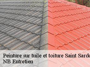 Peinture sur tuile et toiture saint-sardos-82600 Concept Toiture 82