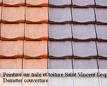 Peinture sur tuile et toiture 82400