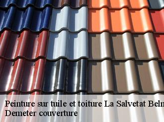 Peinture sur tuile et toiture la-salvetat-belmontet-82230 Demeter couverture