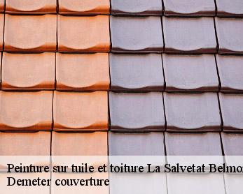 Peinture sur tuile et toiture 82230