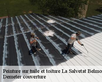 Peinture sur tuile et toiture 82230