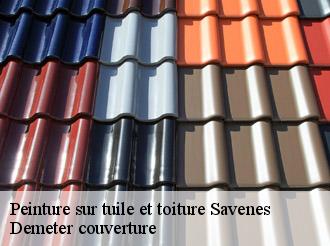 Peinture sur tuile et toiture  savenes-82600 Demeter couverture