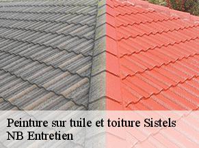 Peinture sur tuile et toiture sistels-82340 NB Entretien