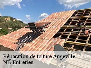 Réparation de toiture angeville-82210 NB Entretien