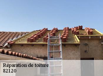 Réparation de toiture 82120