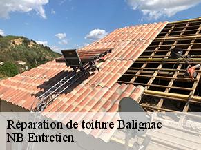Réparation de toiture balignac-82120 NB Entretien