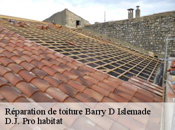 Réparation de toiture  barry-d-islemade-82290 D.J. Pro habitat