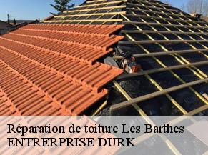 Réparation de toiture  les-barthes-82100 ENTRERPRISE DURK
