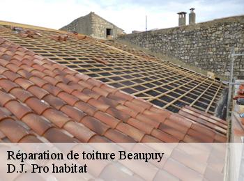 Réparation de toiture  beaupuy-82600 D.J. Pro habitat