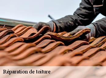 Réparation de toiture