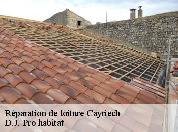 Réparation de toiture  cayriech-82240 D.J. Pro habitat