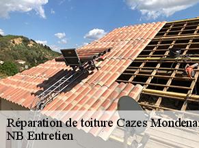 Réparation de toiture cazes-mondenard-82110 NB Entretien