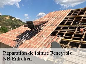 Réparation de toiture feneyrols-82140 NB Entretien