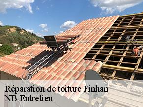 Réparation de toiture finhan-82700 NB Entretien
