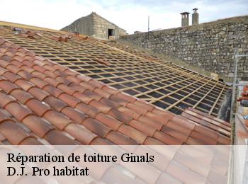 Réparation de toiture  ginals-82330 D.J. Pro habitat