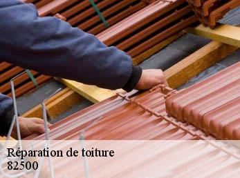 Réparation de toiture  82500
