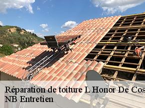 Réparation de toiture l-honor-de-cos-82130 Concept Toiture 82