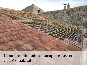 Réparation de toiture  lacapelle-livron-82160 D.J. Pro habitat