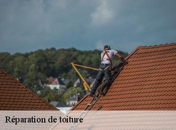 Réparation de toiture