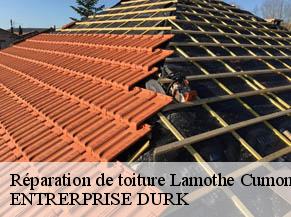 Réparation de toiture  lamothe-cumont-82500 ENTRERPRISE DURK