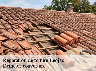 Réparation de toiture leojac-82230 Demeter couverture