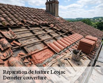 Réparation de toiture 82230