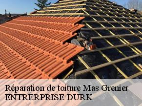 Réparation de toiture mas-grenier-82600 ENTRERPRISE DURK