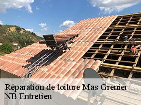 Réparation de toiture mas-grenier-82600 NB Entretien
