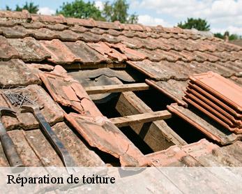 Réparation de toiture  82220