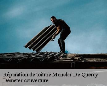 Réparation de toiture 82230